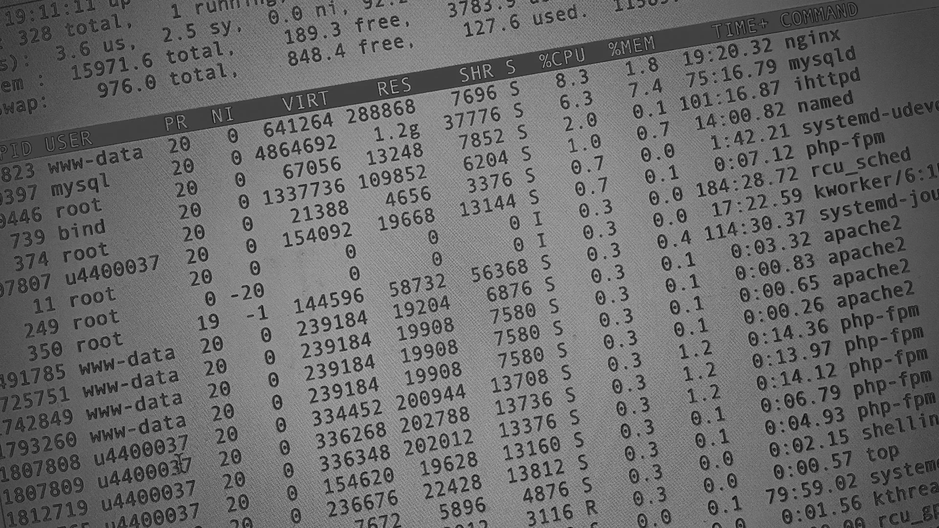 Настройка сервера в Сорочинске